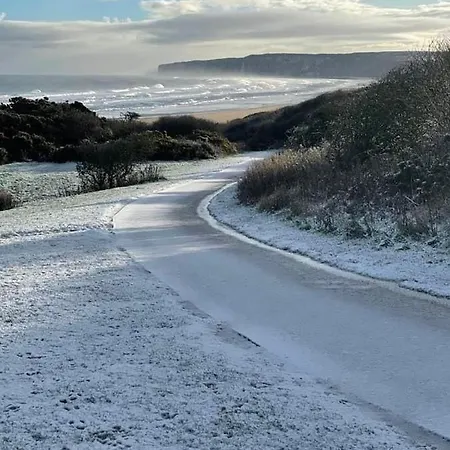 Puffin Filey