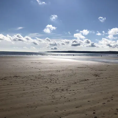 Puffin Filey